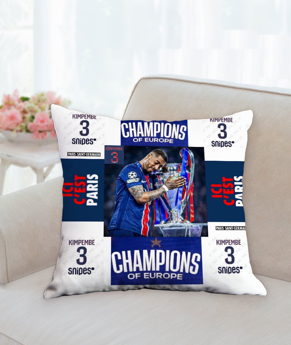 Coussin " MERCI PRESKO " 35.6 cm X 35.6 cm ( MOYEN/PETIT)