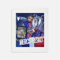 PLAID ( COLLECTOR A VIE ) " MERCI PRESKO  " AVEC LA LIGUE DES CHAMPIONS  ( 127x152cm )
